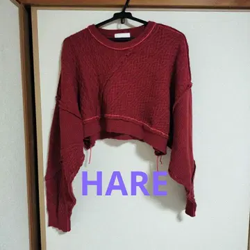 HARE 숏 기장 니트 레드