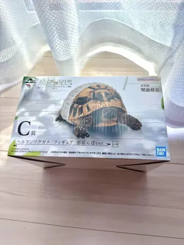 제일복권 C상 헤르만 육지거북 방황ver.