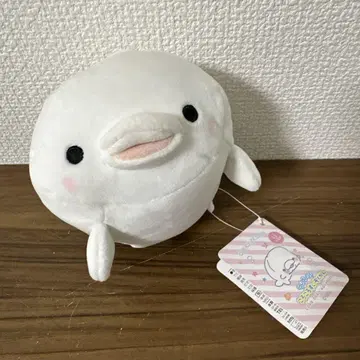 모찌후와! 데굴데굴 수족관 돌고래 아기돌고래 흰돌고래 봉제 인형