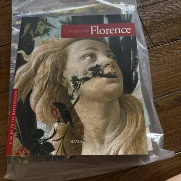 Unforgettable Florence - Art Guide
