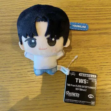 TWS YOUNGJAE 영재 SD 인형
