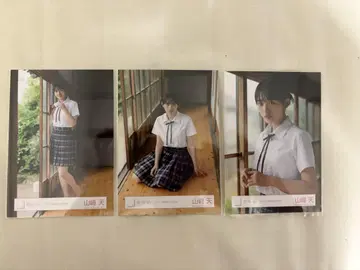 사쿠라자카46 야마자키 텐 드론 선회 중 매미