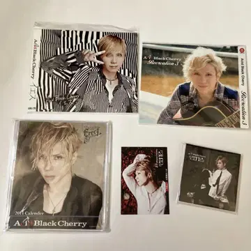 acid black cherry 다른 자켓, 메모장, 달력 등 세트
