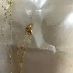 목걸이 작은 무민 K10