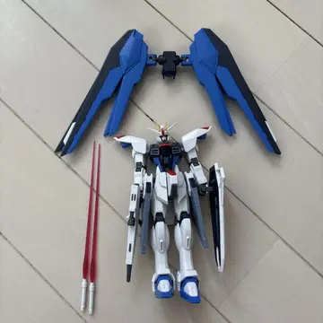 HGCE 프리덤 건담