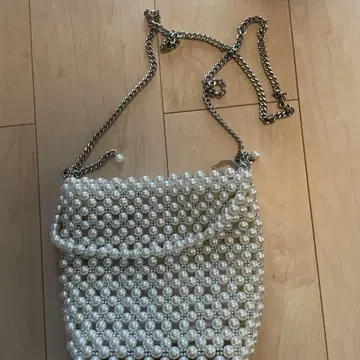 ZARA 펄 백