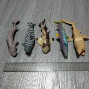 (아마도?) 오션 어택&co 5세트