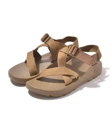 Chaco Z1 Classic BEAMS 별주 COYOTE 25cm