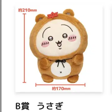 치이카와 너구리인걸 복권