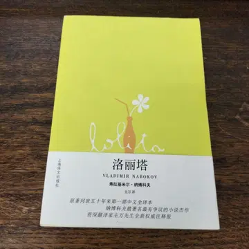 VLADIMIR NABOKOV 중국어 도서