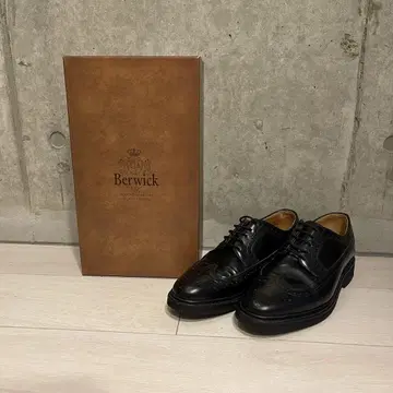 [부속품 있음] Berwick 버윅 윙팁 5278