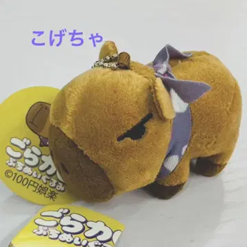 고라카피 앉은 코게차 2개 세트