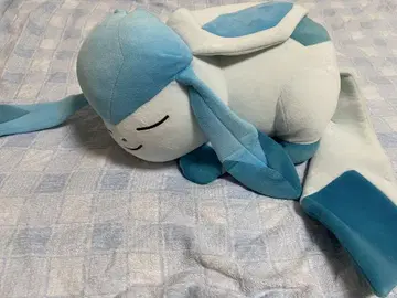 쿨쿨 잠자는 글레이시아 봉제 인형 이브이 컬렉션 2017