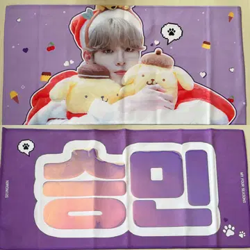 straykids 스키즈 seungmin 승민 슬로건