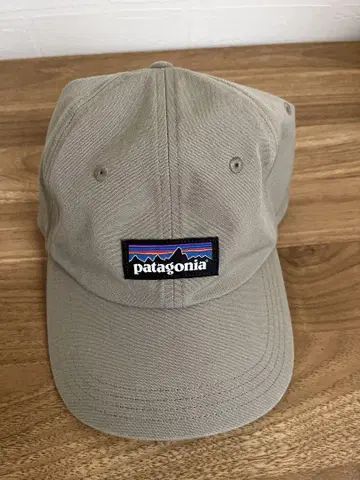 Patagonia 파타고니아 캡 2022 가든 그린 GDNG 새상품