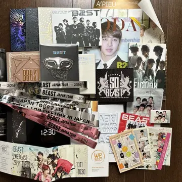 BEAST CD 기타 여러가지