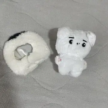 ENHYPEN 성훈 마스터 봉제 인형