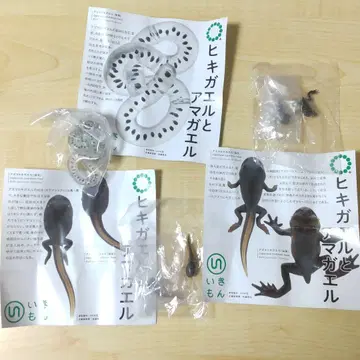 3종 두꺼비와 청개구리 마그넷 & 볼체인 캡슐토이 가챠