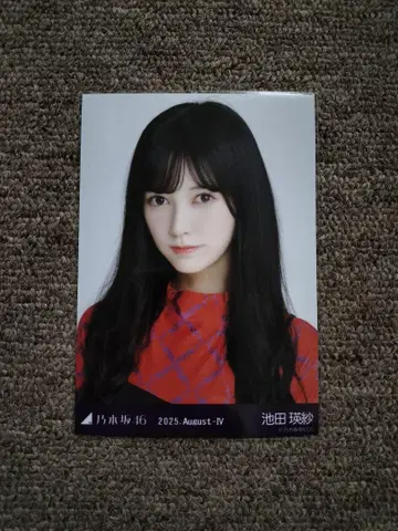 이케다 테레사 비대칭 브로마이드 요리