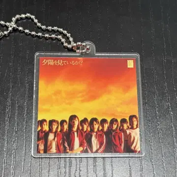 석양을 보고 있는가? 아크릴 키링 AKB