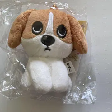 BTOB 창섭 애견 그리 짱 봉제 인형 스트랩 포함 약 15cm