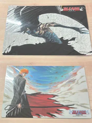 BLEACH 책받침 쿠로사키 이치고