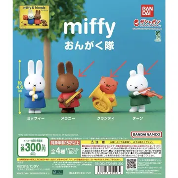miffy 음악대