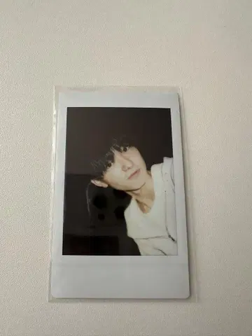 스파후루 오다 이신 체키