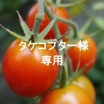 목걸이와 귀찌
