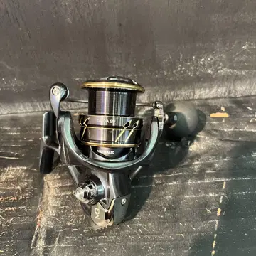 DAIWA 22 칼디아 SW 4000CXH