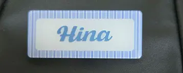 이나쿠마 히나 Cool 핀 배지