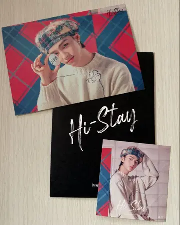 straykids 스키즈 현진 histay 랜트레 스티커