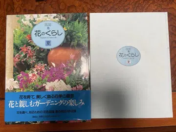 꽃의 생활 여름 가드닝