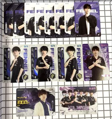 IJL 카드 FL FENNEL 세트 SR SSR UR Hasha