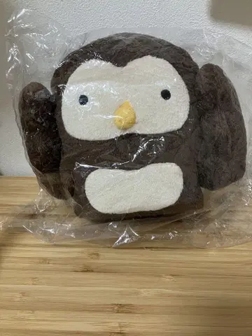 후모후모 씨 안경 씌웁니다 옷
