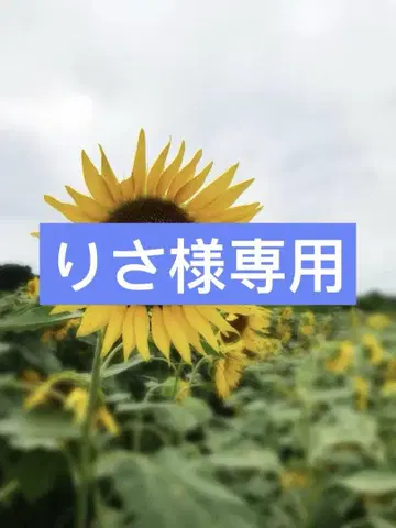 2점 일괄