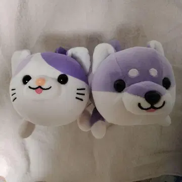 아시카가 플라워 파크 등나무색 한정판 시바견 고양이 봉제 인형
