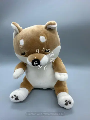 살짝 깨물어 햄햄 시바견 봉제 인형