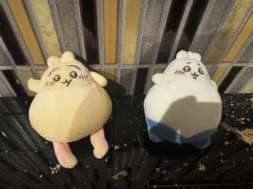 치이카와 하치와레 불량품 볼체인 이빨갈이 반대 1 + 1