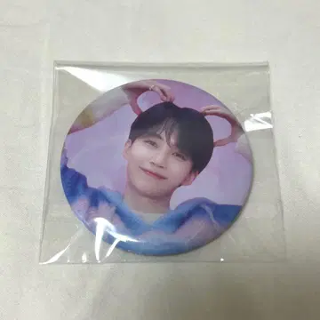 SEVENTEEN 세븐틴 DREAM POPUP 정한 캔뱃지