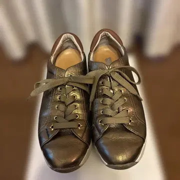 레어 상품 모드 에 자코모 24cm 가죽 브론즈 스니커즈