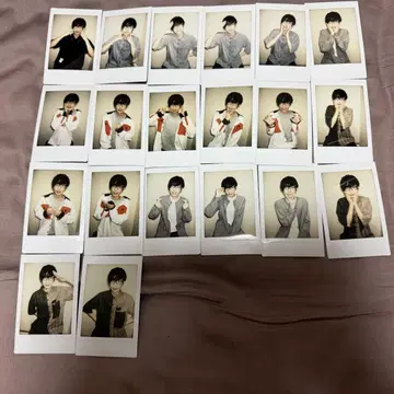 판다드래곤 파라곤 하피카 폴라로이드 나루키 3