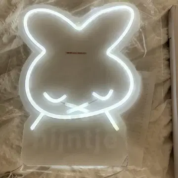 네온 라이트 오브제 딕 브루너 콜라보 스튜디오 클립 미피