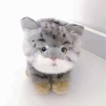 마눌고양이(어미) 봉제 인형 우에노 동물원