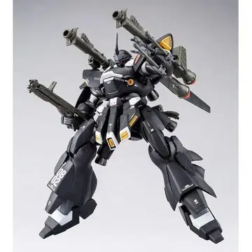 MG 1/100 캠퍼 슈베어