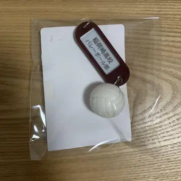 하이큐 트레이딩 고교 이름 포함 열쇠 참 키링 이나리자키