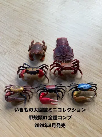 생물대도감 미니 컬렉션 갑각류 전종 컴플