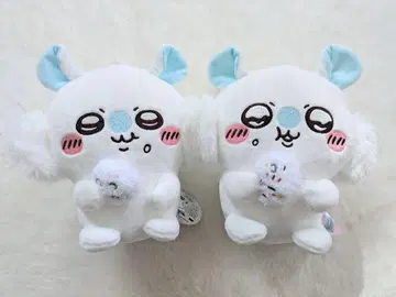 모몽가 오물오물 봉제 인형 풀세트