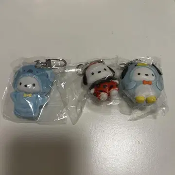 포차코 쪼꼬미