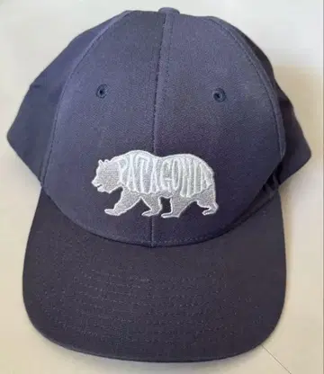 Patagonia Cap 파타고니아 캡